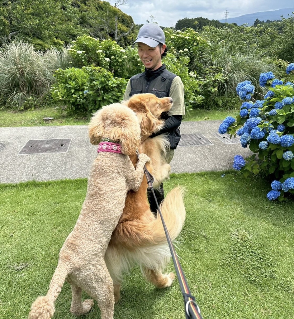 里親会活動
