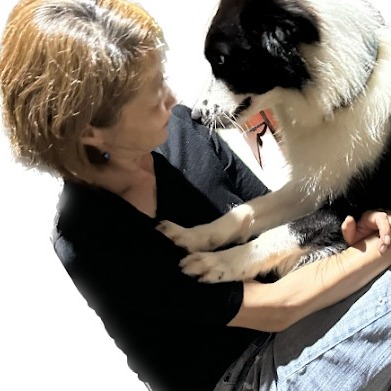代表 高橋照子